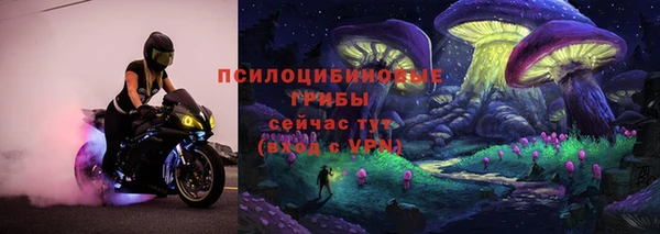 дживик Каменск-Шахтинский